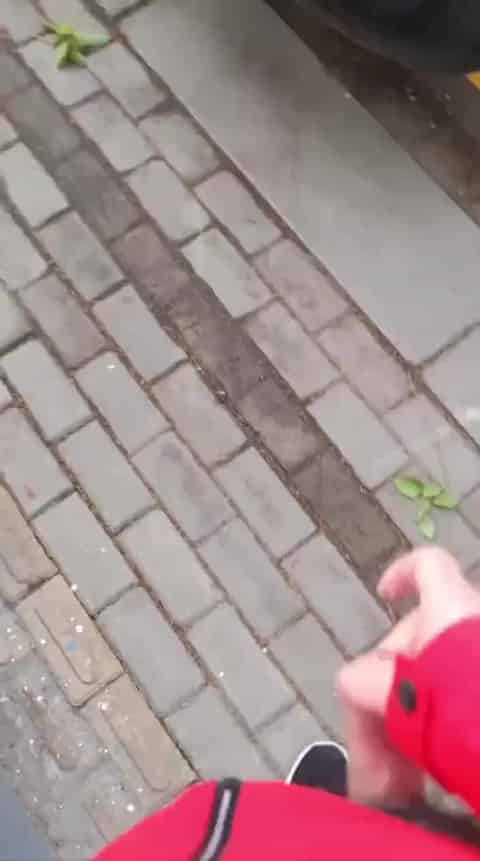 b57a7e9d-072d-4555-b011-e84704e96dfd.mp4