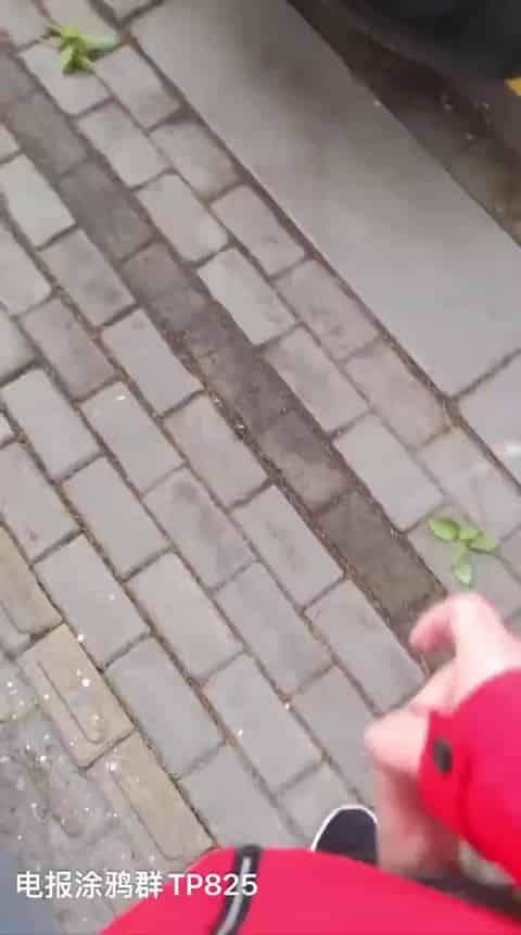 706e6493-6b46-45c9-a23c-1b1f47fa6217.mp4