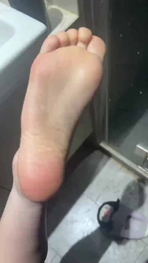 54e45a47-f96d-4f79-ad5c-033f290b5090.mp4