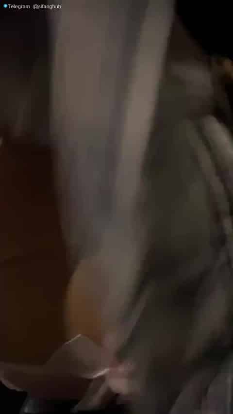 f8d5408f-2235-4ca3-ab16-36b435e86f1a.mp4