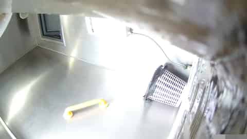 fa95a74d-a27a-450f-aa61-507926f9202a.mp4