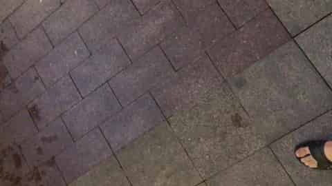 bb077858-53ee-41ee-8c80-52604779b1a1.mp4