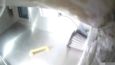 f20b508f-4816-4334-a95c-2b123d207784.mp4