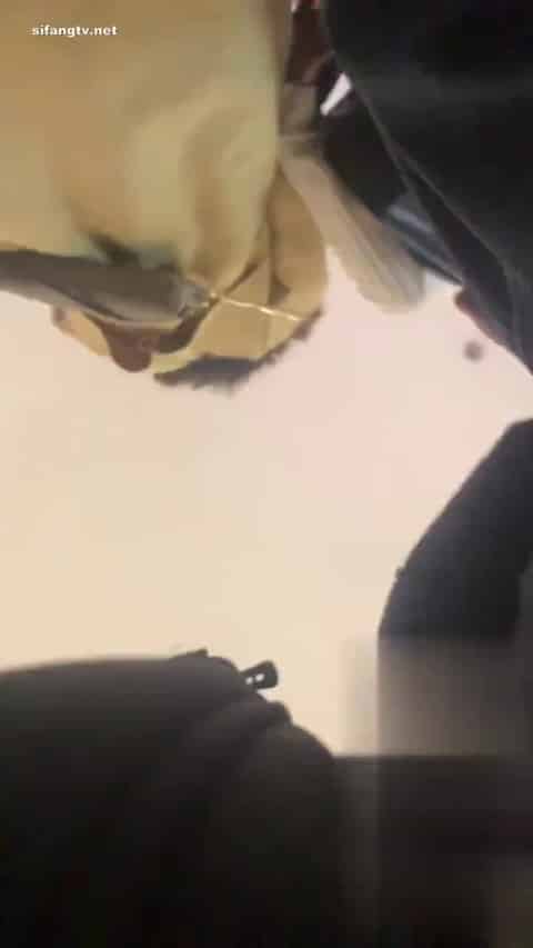 9cb60624-5acf-4131-98a3-18a25a9bf2fc.mp4