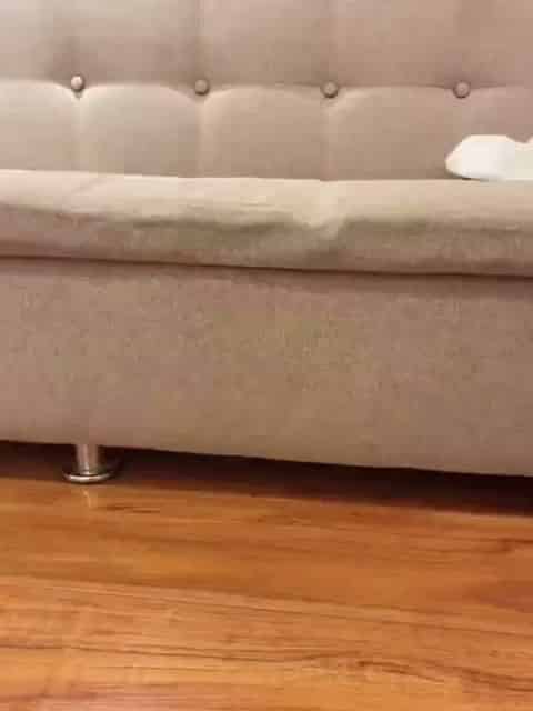 4e2a9129-90a7-428a-83d7-f40cb65e4a15.mp4