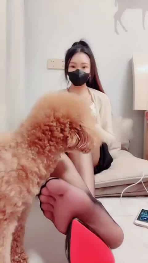 ad88d619-d46c-48ae-8a48-fb571d3bfc96.mp4