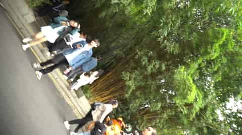 99aa2560-d2e9-4b77-8884-8d752f088864.mp4