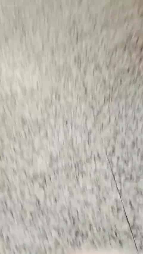 d22cbc69-cf9c-4a47-a236-6c2ee3616e21.mp4