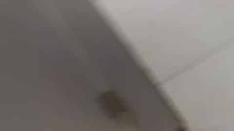 d82a2f3c-6612-4ec6-a6ba-74089a5a5b02.mp4