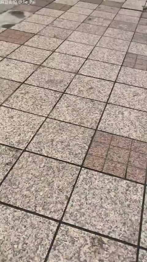 269939b8-f0ab-4e24-9a44-6780ba35fe1e.mp4