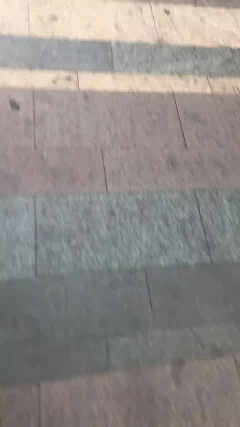 587eed3a-e91a-4e8c-9972-168792c93e2d.mp4