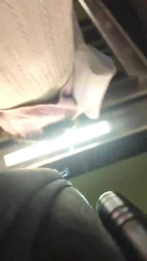 1e8731d9-6791-49ea-9771-ade88ae8c1e0.mp4