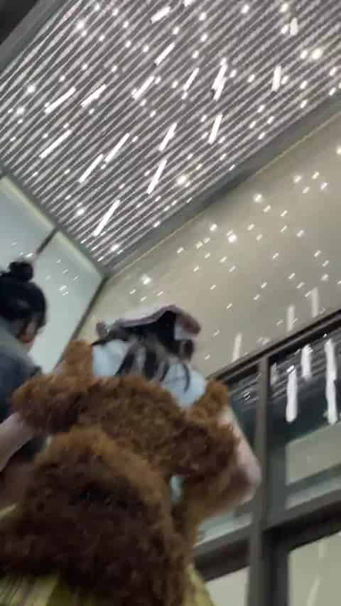 bdc5a1bf-fda7-4b1e-a034-1955cdc9f44b.mp4