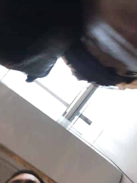 9e9553c1-2fdd-469f-8aa9-5b9bafe36f3d.mp4