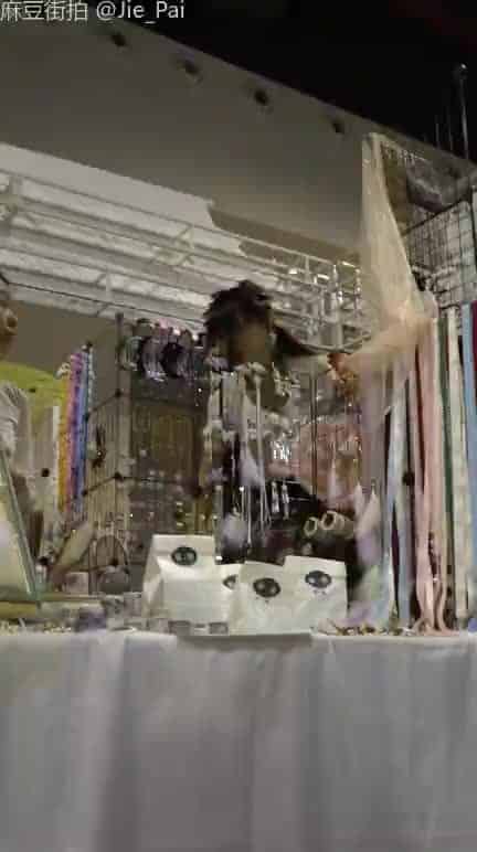 5600322c-9601-468b-9b90-146222afbc5e.mp4