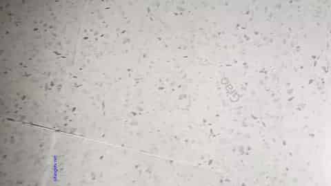 808fcc70-60f1-4c76-bdb1-0958ff10ab27.mp4