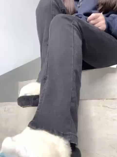 0f9c1a1b-aee0-4382-9150-2cc70bef2bcc.mp4