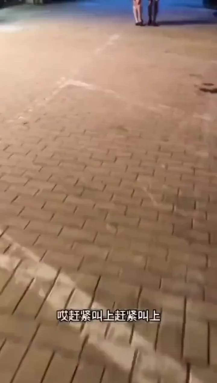 f982f971-3a49-4022-ac38-ea7bb3a71510.mp4