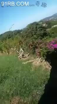 c394dfaa-9d56-4375-a596-230b11af4445.mp4