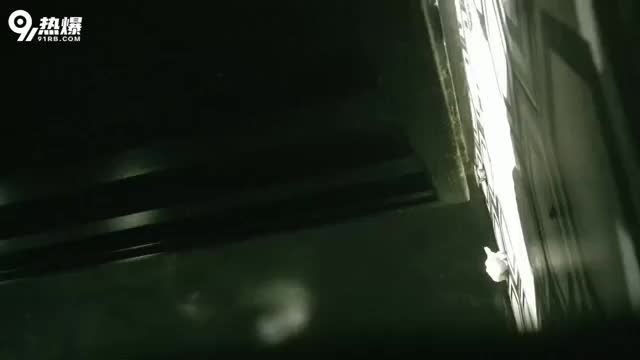 54043cd6-db05-4ec8-97ff-04638588faec.mp4