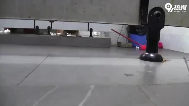 9601f383-2890-4881-98af-18cecbc60cd6.mp4