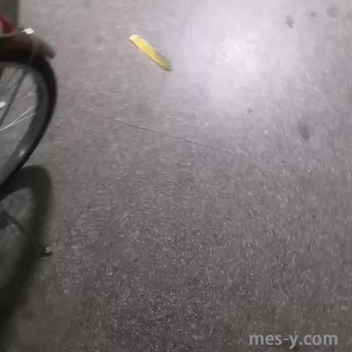 8c51d365-35df-4ec2-b491-2afb3354aacd.mp4