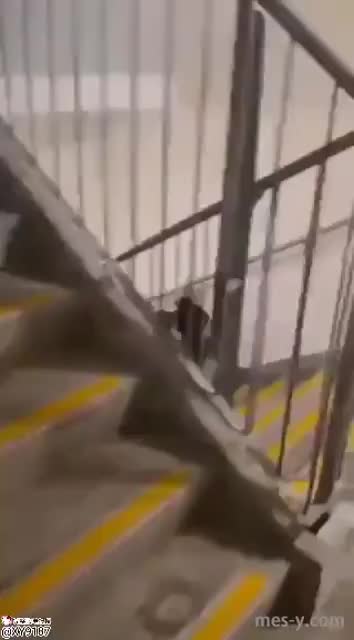 58f30d90-6ef9-4c34-b4c8-e26cc220cc51.mp4