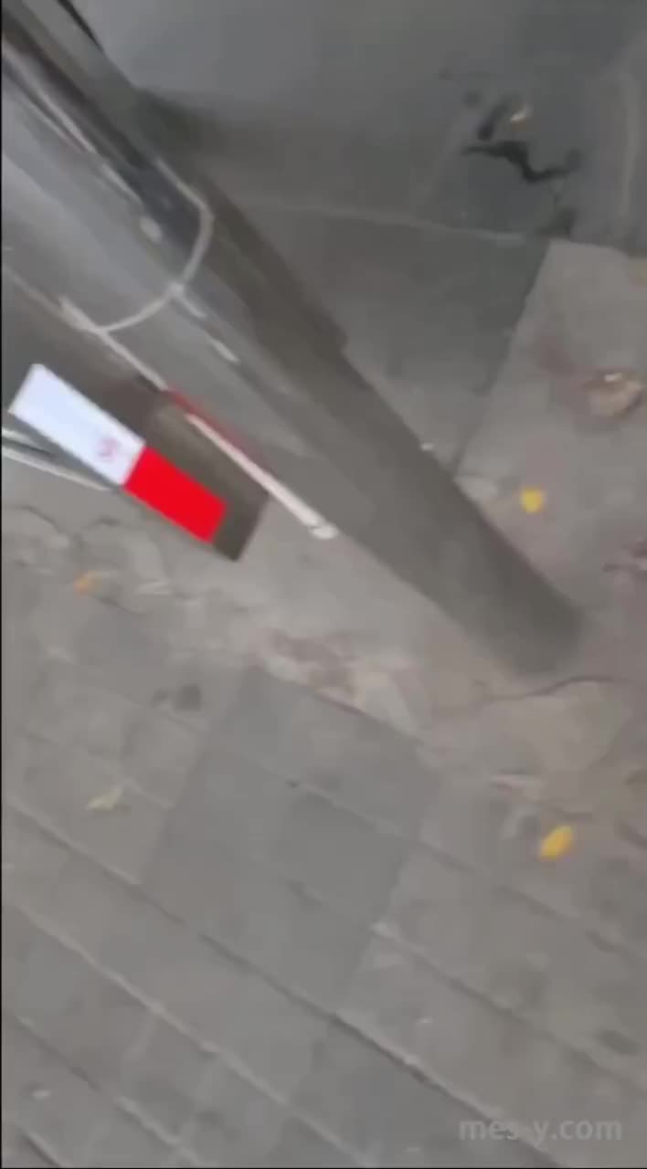 e8fb9d9c-5076-4336-932b-fa11d2d399b5.mp4