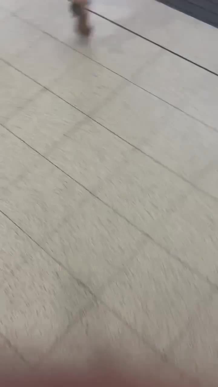 425e44c8-e18e-4027-8690-ec2cba249a1b.mp4