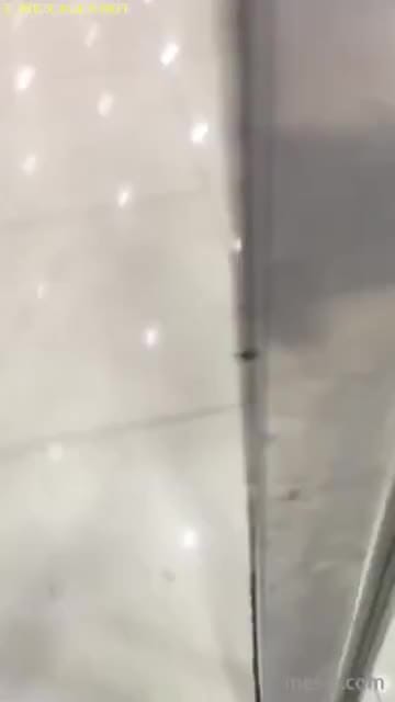 d5f05e44-da82-49f0-9cfb-213507ab85c7.mp4