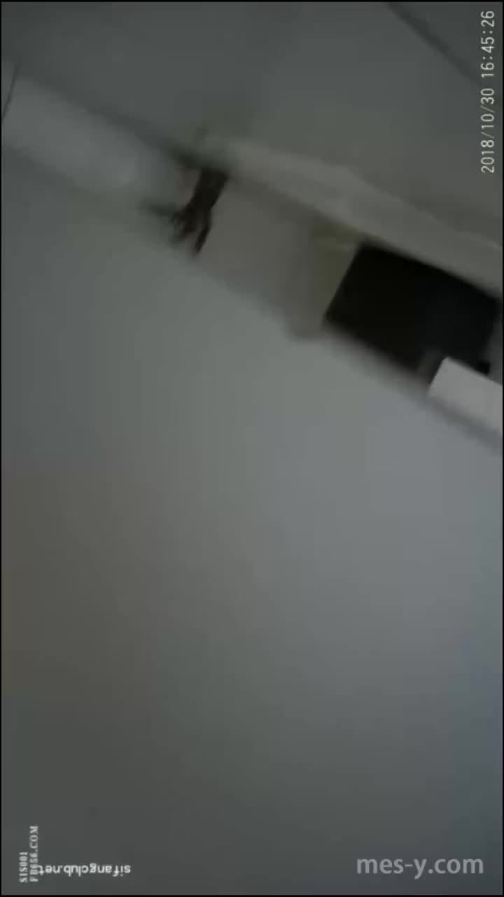 65dadbb0-dd45-4d28-bf3e-ff1ef22f3504.mp4