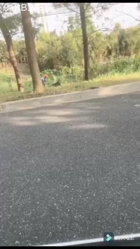 902a5733-c49f-4208-9518-d4c366cdfc67.mp4