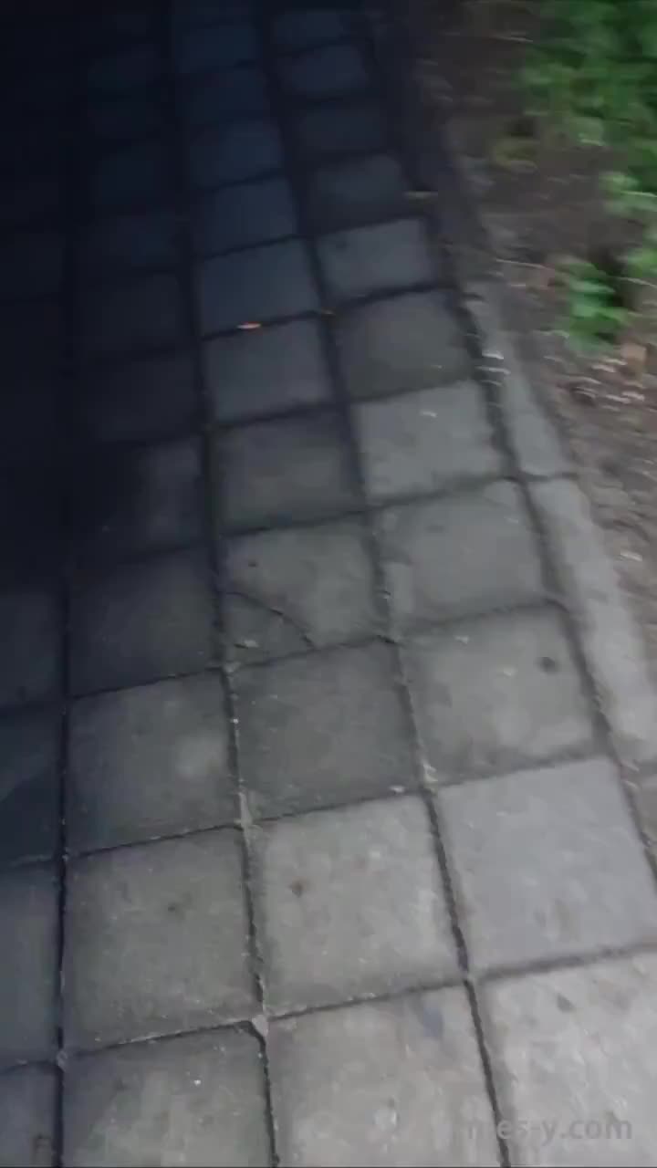 5025c865-8752-4bf3-a998-d09162b3b99f.mp4